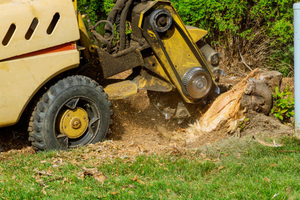 Best Lot and Land Clearing  in Fort Hall, ID