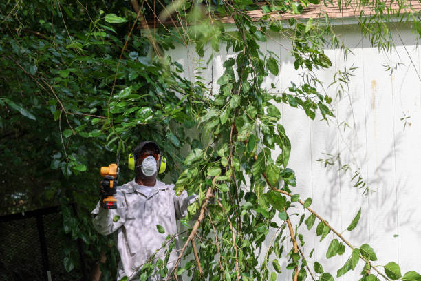 Best Lawn Pest Prevention  in Fort Hall, ID